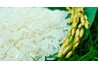 Bắc Giang đề xuất 4 chủng loại giống lúa, 3 chủng loại giống ngô và 6 chủng loại giống rau vào dự trữ Quốc gia năm 2017