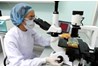 Việt Nam đầu tư phát triển nền công nghiệp sinh học
