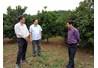 Bộ môn Sinh lí – Sinh hóa thăm và làm việc tại Công ty TNHH một thành viên Cao Phong – Hòa Bình