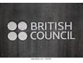 Fund for Research Environment Link (British council)