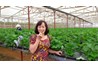 Khoa Nông học tổ chức đi thăm quan và học tập mô hình sản xuất rau hoa công nghệ cao tại Đà Lạt