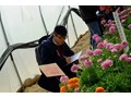 Thực tập hưởng lương và việc làm quốc tế cho sinh viên trường Đại học Nông Lâm Thái Nguyên