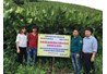 Mô hình trồng dong riềng giống mới và thâm canh tổng hợp tại huyện Mộc Châu, tỉnh Sơn La 