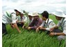 Ngành nghề: Nghề Bảo vệ thực vật