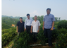 Kiểm tra đề tài Khai thác và phát triển nguồn gen chè trung du búp tím