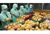  Xuất khẩu nông sản Việt Nam đứng thứ 2 Đông Nam Á, thứ 15 thế giới
