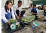 Sinh viên khoa Nông học tham gia nghiên cứu khoa học để tạo ra các sản phẩm có giá trị cao