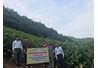 Kết quả thực hiện mô hình tại huyện Mộc Châu, tỉnh Sơn La
