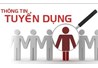Công ty CP SX – XNK Thủ công mỹ nghệ và nông sản tổng hợp Hagimex tuyển dụng kỹ sư 