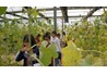 Chuyến trải nghiệm của trường THPT Ba Vì - một ngày ý nghĩa