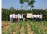 Kết quả thực hiện mô hình tại huyện Trấn Yên, tỉnh Yên Bái