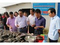 Tiếp tục nhân rộng mô hình nuôi trai nước ngọt lấy ngọc