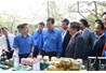 Nâng cao vai trò của Đoàn Thanh niên và Hội Sinh viên trong hoạt động khởi nghiệp và tìm kiếm việc làm của sinh viên