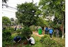 Thông báo Đoàn trường về việc triển khai ra quân tết trồng cây xuân Mậu Tuất 2018