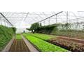 Trải nghiệm của sinh viên Khoa Kinh tế & Phát triển Nông thôn đang thực tập nghề tại Israel 