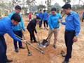Tuổi trẻ trường Đại học Nông Lâm - ĐH Thái Nguyên ra quân tết trồng cây 2018