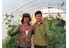Thực tập tốt nghiệp tại Israel - Nơi học tập, trải nghiệm cuộc sống của sinh viên Khoa Nông học