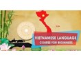 Information about the Vietnamese Language Training Courses for Foreign Students