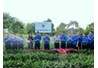 Đoàn thanh niên trường Đại học Nông Lâm tham gia xây dựng và chuyển giao mô hình tưới nước tự động trên cây chè cho thanh niên xã Yên Lạc huyện Phú Lương tỉnh Thái Nguyên