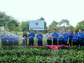 Đoàn thanh niên trường Đại học Nông Lâm tham gia xây dựng và chuyển giao mô hình tưới nước tự động trên cây chè cho thanh niên xã Yên Lạc huyện Phú Lương tỉnh Thái Nguyên