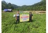 Kết quả nghiên cứu cây thạch đen tại Bắc Kạn