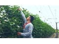 Thiết kế chương trình đặc biệt đón mùa tuyển sinh