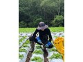Thông báo tuyển sinh chương trình thực tập nghề 7 tháng Nông nghiệp tại Nhật Bản	