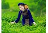 Tiềm năng cây chè Thái Nguyên