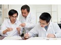 Hợp chất đắt hơn vàng 30 ngàn lần được tìm thấy từ cây lúa