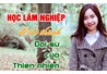Các ngành học đại học đang được đào tạo tại khoa Lâm nghiệp - trường ĐH Nông Lâm Thái Nguyên