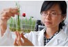 Kỹ sư Khoa học cây trồng (trồng trọt) và cơ hội việc làm