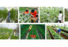 Ngành kinh tế nông nghiệp trang bị cho sinh viên kiến thức vững vàng, kỹ năng toàn diện và cơ hội việc làm rộng mở