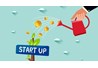 9X Thái Nguyên lập nghiệp thành công từ trang trại rau sạch