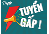 NGÀY HỘI VIỆC LÀM TẠI CHI NHÁNH THÁI NGUYÊN
