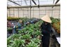​Những trải nghiệm thú vị của sinh viên Khoa Nông học đang thực tập nghề nghiệp trên đất nước Israel
