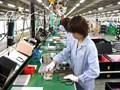 Thông báo tuyển sinh chương trình thực tập 06 tháng tại Nhật Bản