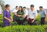 Trong trường hợp nào Hợp tác xã sẽ là một hình thức tổ chức có ý nghĩa thực sự trong thúc đẩy sản xuất kinh doanh nông nghiệp bền vững?