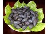 Trám đen – Đặc sản núi rừng Định Hóa, Thái Nguyên