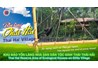 Cảm nhận của sinh viên K52 với chuyến du lịch đầu tay