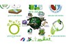 Cơ hội việc làm của kỹ sư, cử nhân môi trường