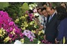Hỗ trợ phát triển HTX Nông nghiệp: Một số giải pháp thiết thực cần trao đổi