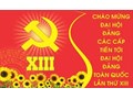 Thông tri triệu tập đại biểu chính thức dự Đại hội đại biểu Đảng bộ Trường Đại hội Nông Lâm lần thứ XV, nhiệm kỳ 2020 - 2025  