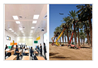 Chia sẻ của sinh viên tham gia thực tập nghề nghiệp tại Israel 