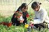 Practical training program, students can earn money while studying at TUAF