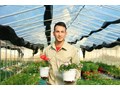 Đào tạo gắn thực tế, sinh viên kiếm tiền từ khi còn trên giảng đường