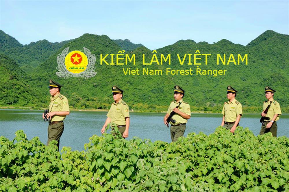 Chúc mừng năm mới 2019