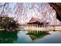Chương trình học bổng của Chính phủ Hàn Quốc dành cho bậc học Thạc sỹ và Tiến sỹ.
