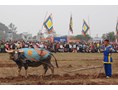 Thai Nguyen City celebrates Golden Anniversary
