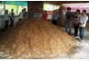 &#091;Bài viết&#093; Chế phẩm sinh học trong xử lý môi trường (BIO - TMT)