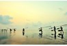 &#091;Sự kiện&#093; Quê hương qua góc ảnh ngược sáng